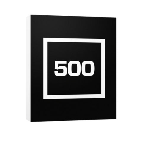 Vertical Canvas  500 Startups Idea